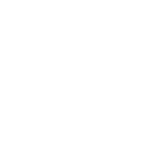 Softudio Technologies LLC